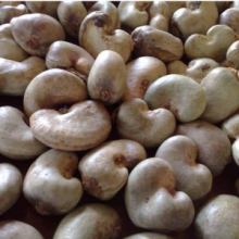 raw Cashew Nuts1